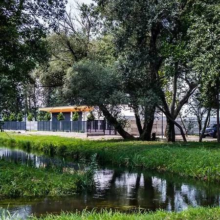 Laras Vila *